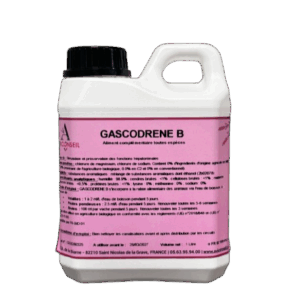 GASCODRENE B