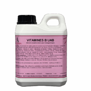 VITAMINES B UAB