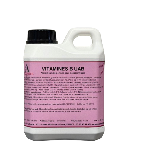 VITAMINES B UAB