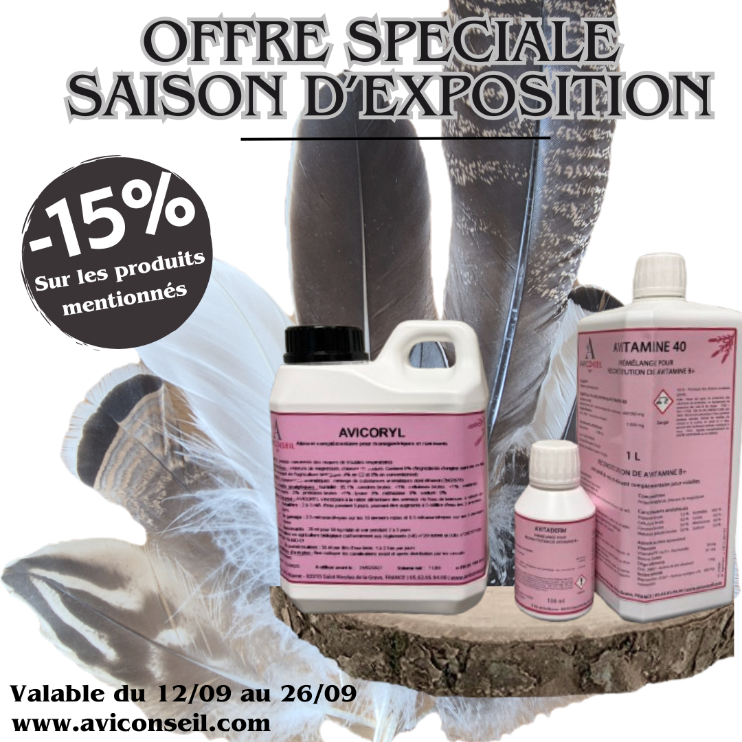 You are currently viewing Saison d&rsquo;Exposition, Concours de Beauté et Immunité !