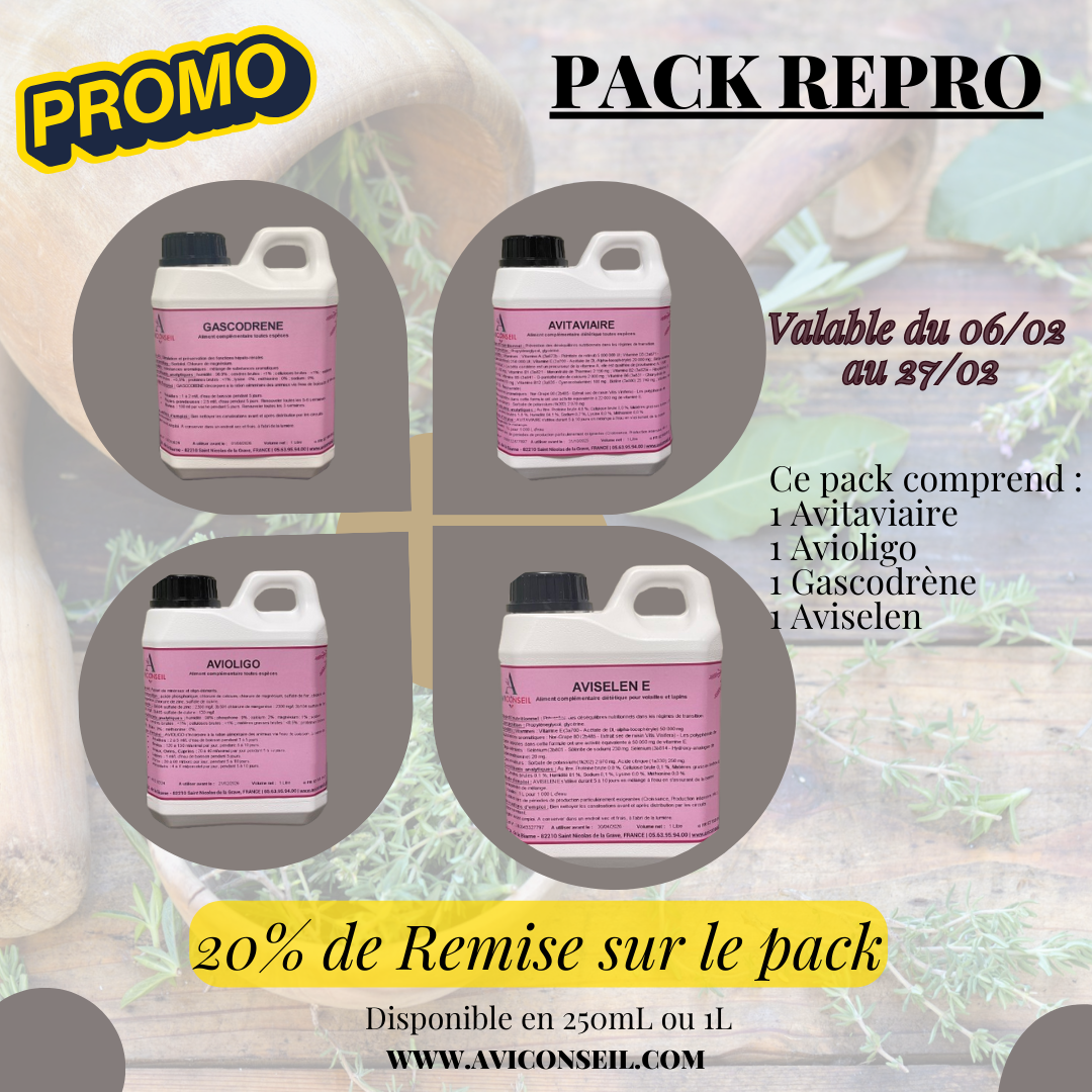Lire la suite à propos de l’article Offre Pack Reproduction !