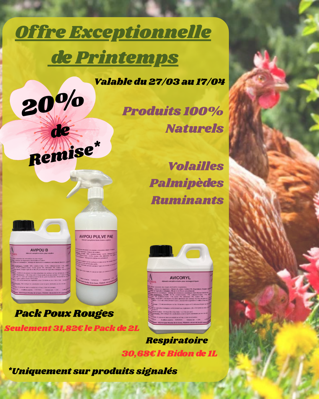 You are currently viewing Offre Exceptionnelle de Printemps !